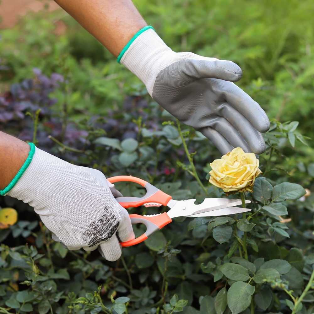 Stainless Steel Gardening Scissors with Sharp Blades - Image 4