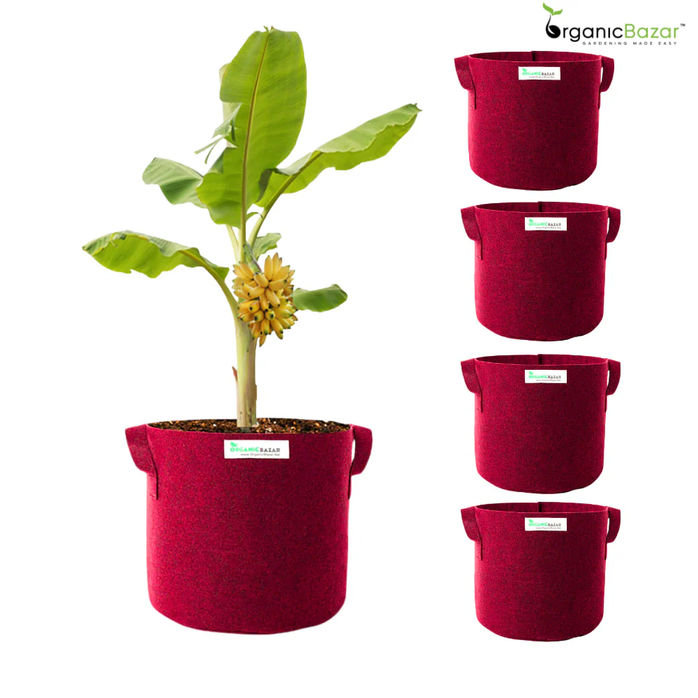 Geo Fabric 18×18 Big Size Grow Bag For Home Gardening Suitable For Fruit Plants - Image 10