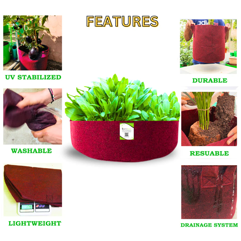 OrganicBazar Geo 18x6 Leafy Grow Bags for Leafy Vegetables for Terrace Garden, Premium Geo Fabric 450 GSM Plant Bags - Image 6