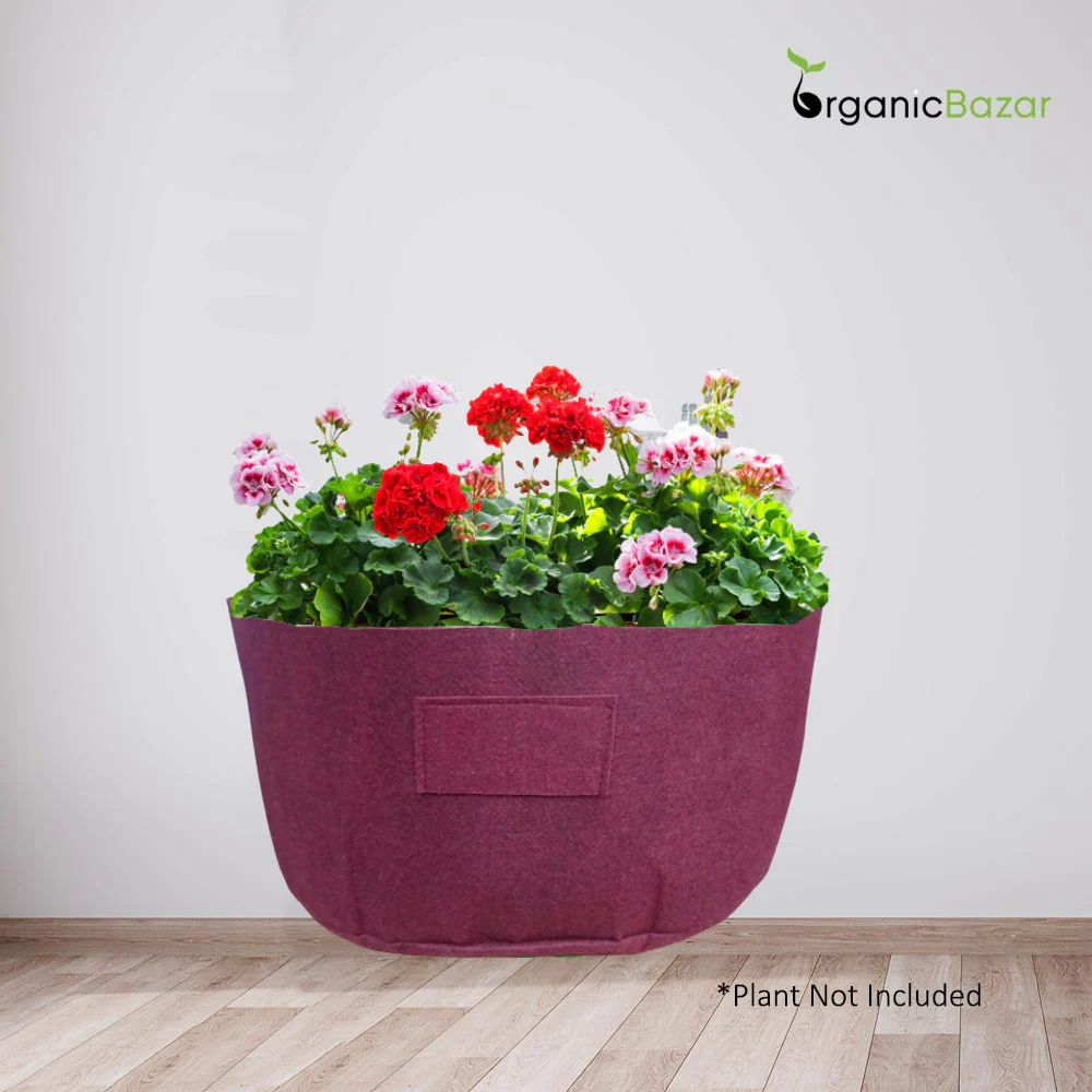Geo Fabric 18x9 Grow Bag Suitable For Leafy Vegetables For Home Garden - Image 2