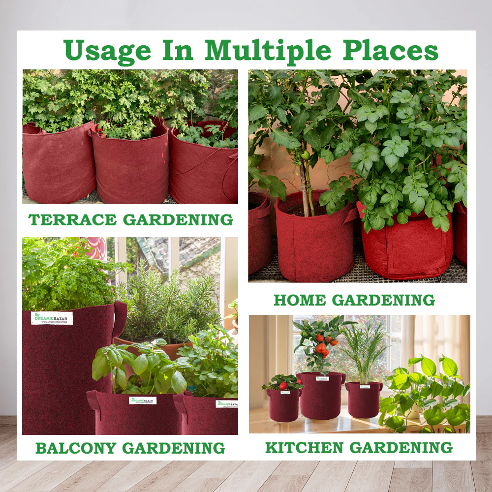 Geo Fabric 18x9 Grow Bag Suitable For Leafy Vegetables For Home Garden - Image 4