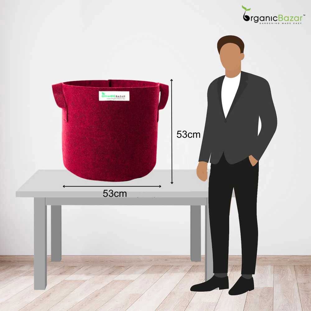 Geo Fabric 21×21 Big Size Grow Bag For Home Gardening Suitable For Fruit Plants - Image 2