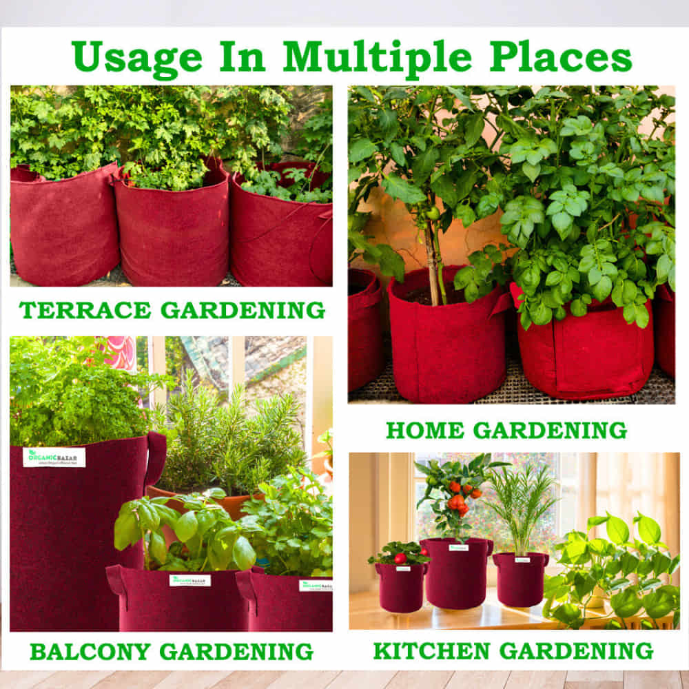 Geo Fabric 21×21 Big Size Grow Bag For Home Gardening Suitable For Fruit Plants - Image 6