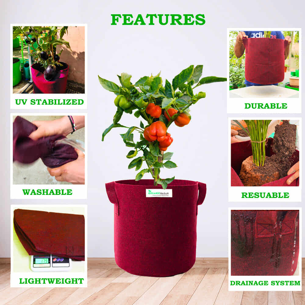 Geo Fabric 21×21 Big Size Grow Bag For Home Gardening Suitable For Fruit Plants - Image 7