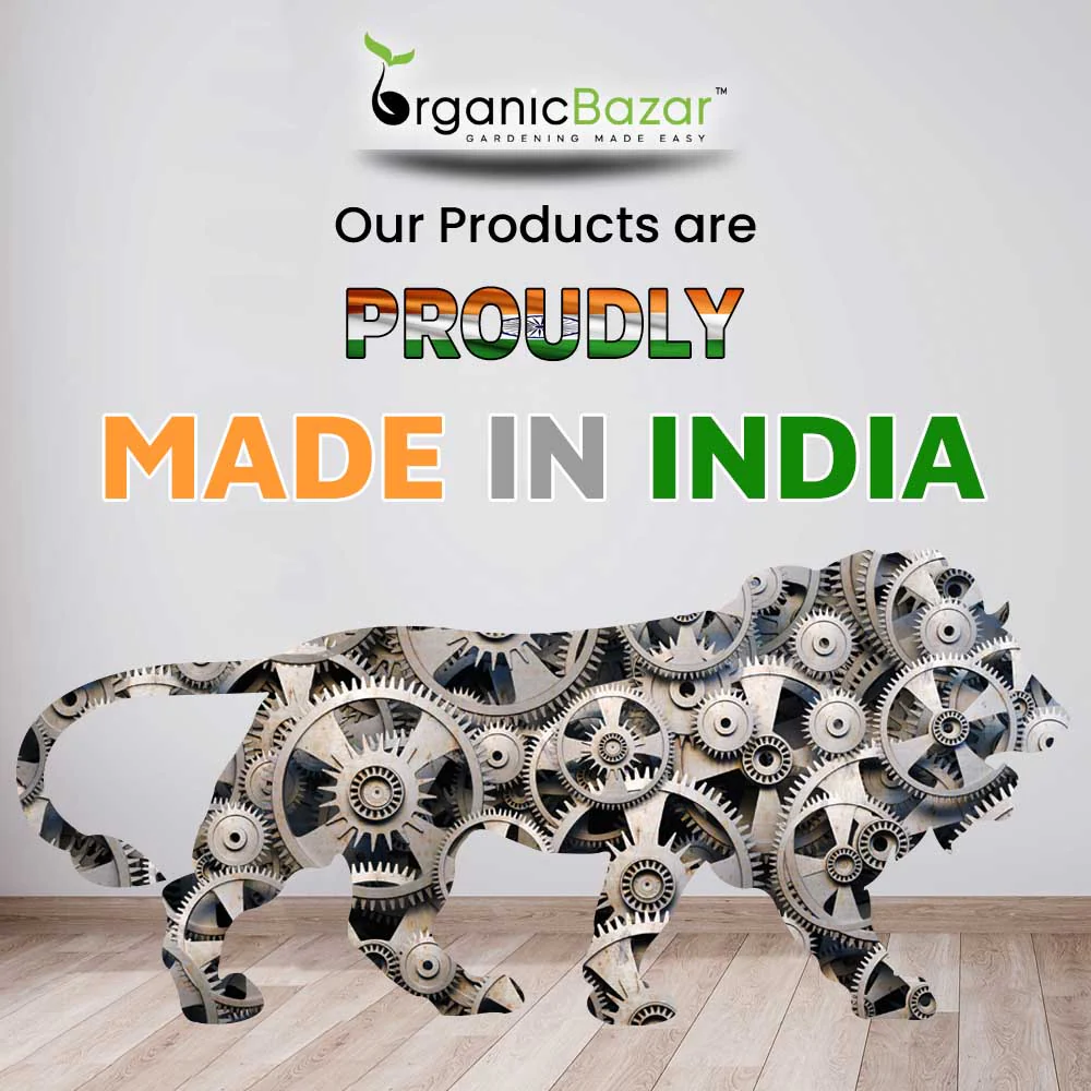 Geo Fabric 24x6 Grow Bag For Terrace Gardening Suitable For Leafy Vegetable and Flower Plants - Image 5