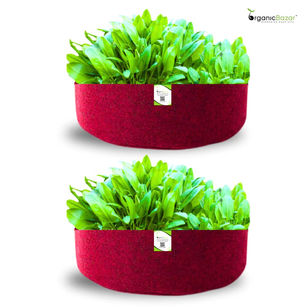 Geo Fabric 24x9 Grow Bag For Terrace Gardening Suitable For Leafy Vegetable and Flower Plants - Image 7