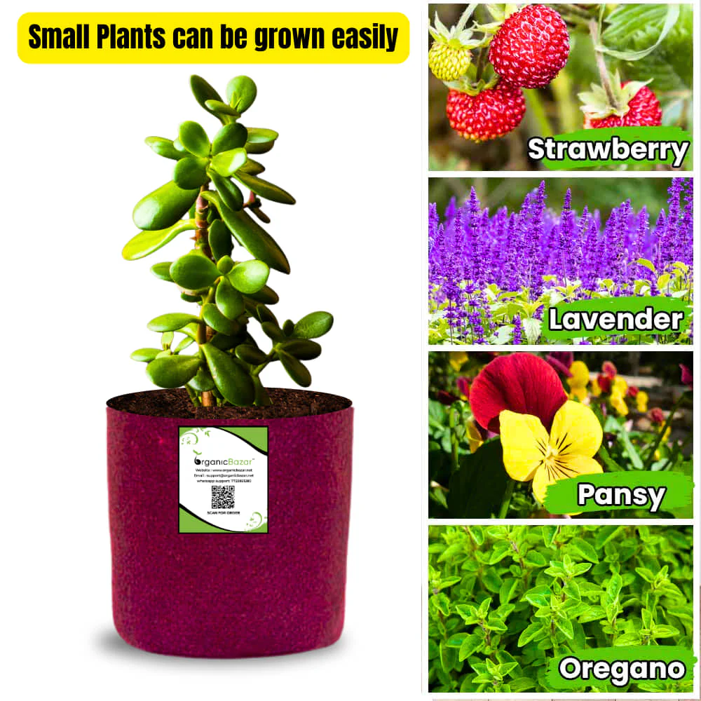 OrganicBazar 6x6 Small Size Grow Bags for Terrace Gardening, Premium Quality Geo Fabric 450 GSM Planters for Small Plants - Image 5