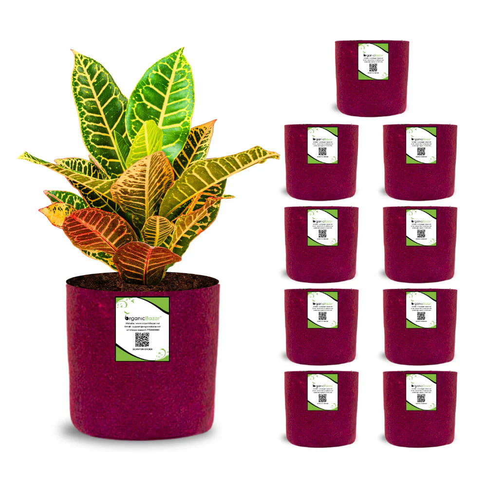 OrganicBazar 6x6 Small Size Grow Bags for Terrace Gardening, Premium Quality Geo Fabric 450 GSM Planters for Small Plants - Image 6