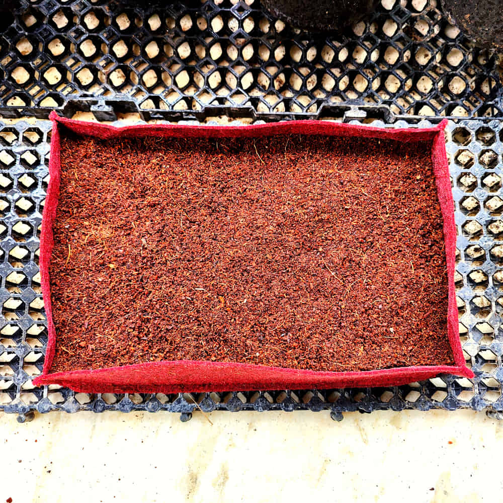 OrganicBazar Geo Fabric Microgreens/Tray Grow Bags For Home & Terrace Garden - Image 3