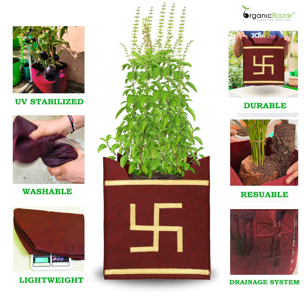 Geo Fabric 10x10 Grow Bag For Tulsi Plant (Tulsi Grow Bag) - Image 3