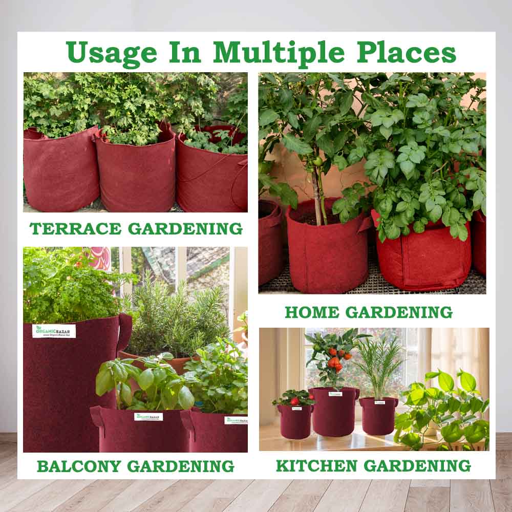 Geo Fabric 10x10 Grow Bag For Tulsi Plant (Tulsi Grow Bag) - Image 5