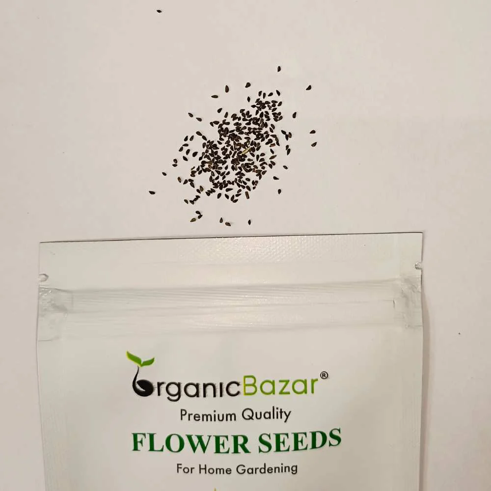 Godetia Azaleaflora Mix Seeds (200 Seeds) - Image 3