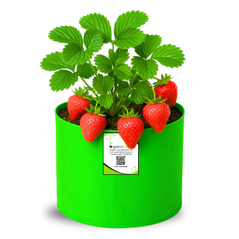OrganicBazar 6x6 Small Size Grow Bag for Home Gardening, Premium HDPE 260 GSM, Green Plant Bags - Image 3