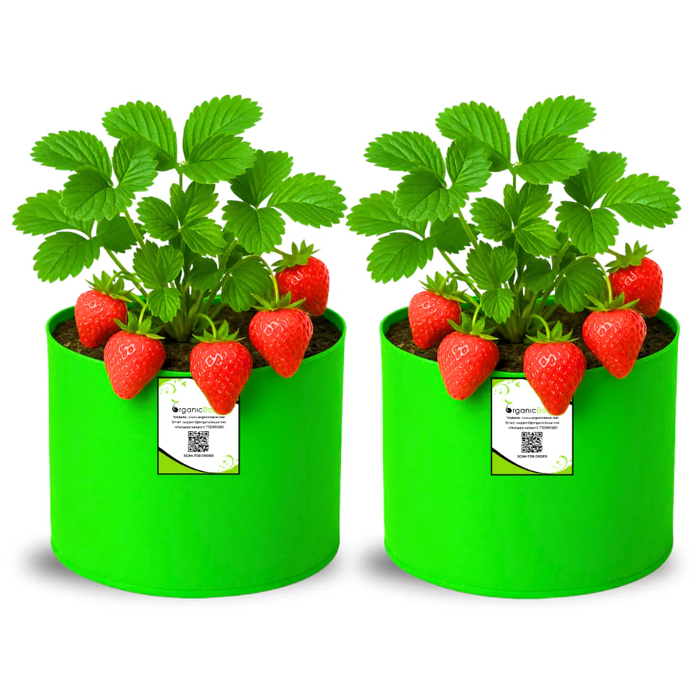 OrganicBazar 6x6 Small Size Grow Bag for Home Gardening, Premium HDPE 260 GSM, Green Plant Bags - Image 4