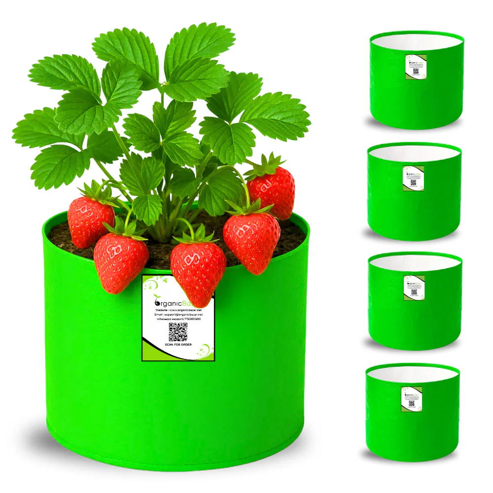 OrganicBazar 6x6 Small Size Grow Bag for Home Gardening, Premium HDPE 260 GSM, Green Plant Bags - Image 5