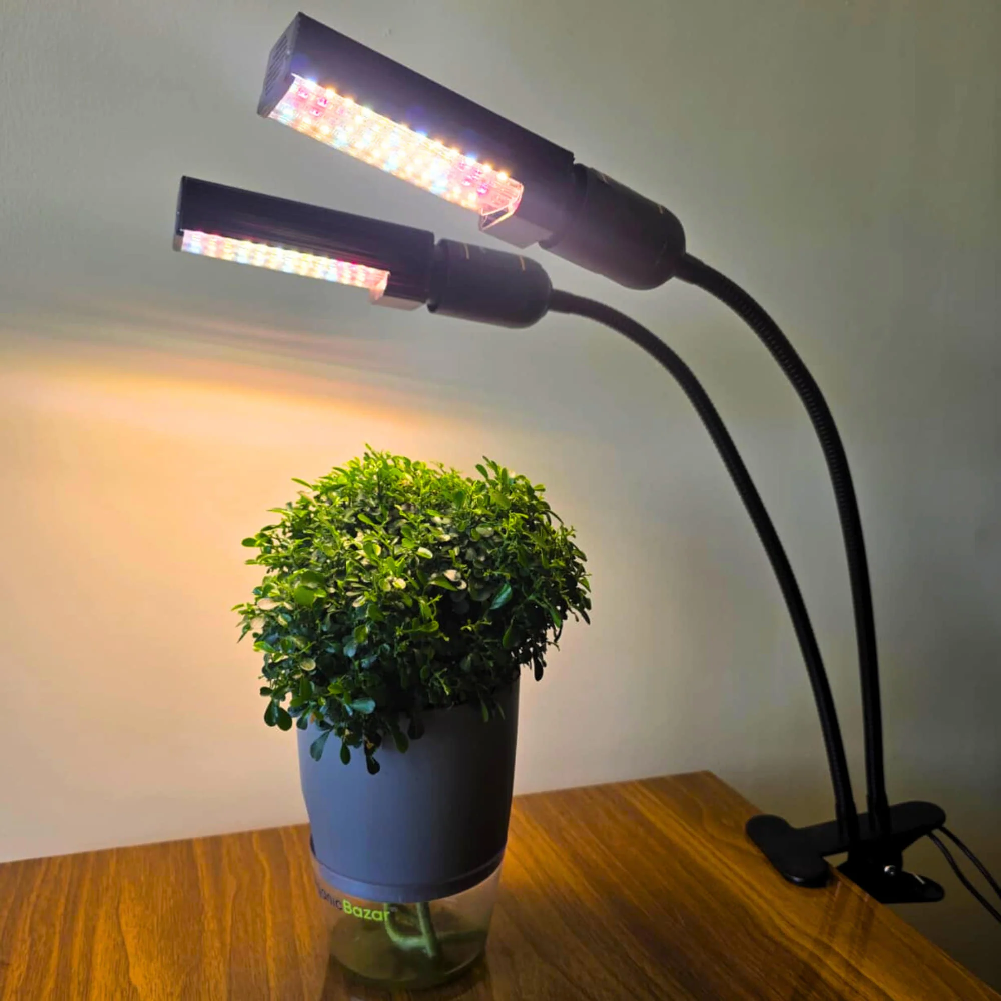 Grow Light with Full Spectrum LED for Indoor Plants — Dual Head with Adjustable Gooseneck & Smart controller switch - Image 3