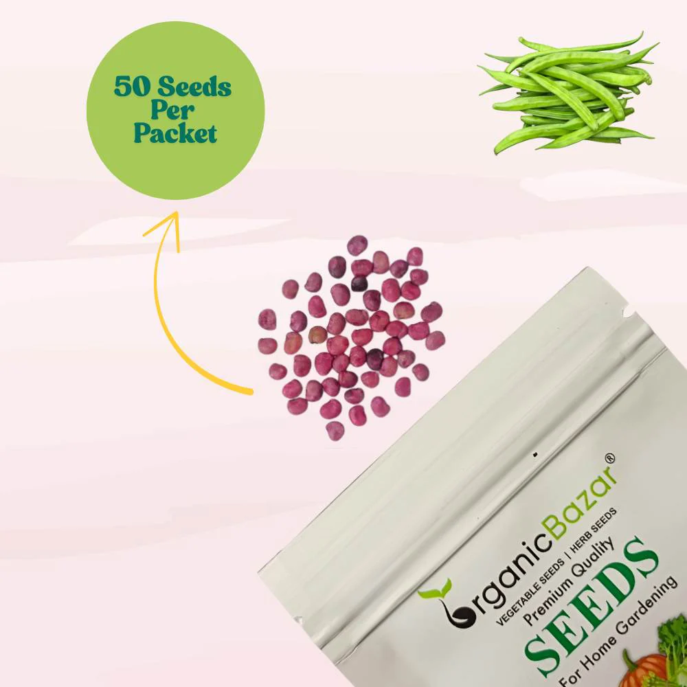 Gwar Phali Seeds - 50 Seeds (Cluster Beans/क्लस्टर बीन्स/ग्वार फली के बीज) High Germination, Easy to Grow Seeds For Terrace Gardening - Image 5