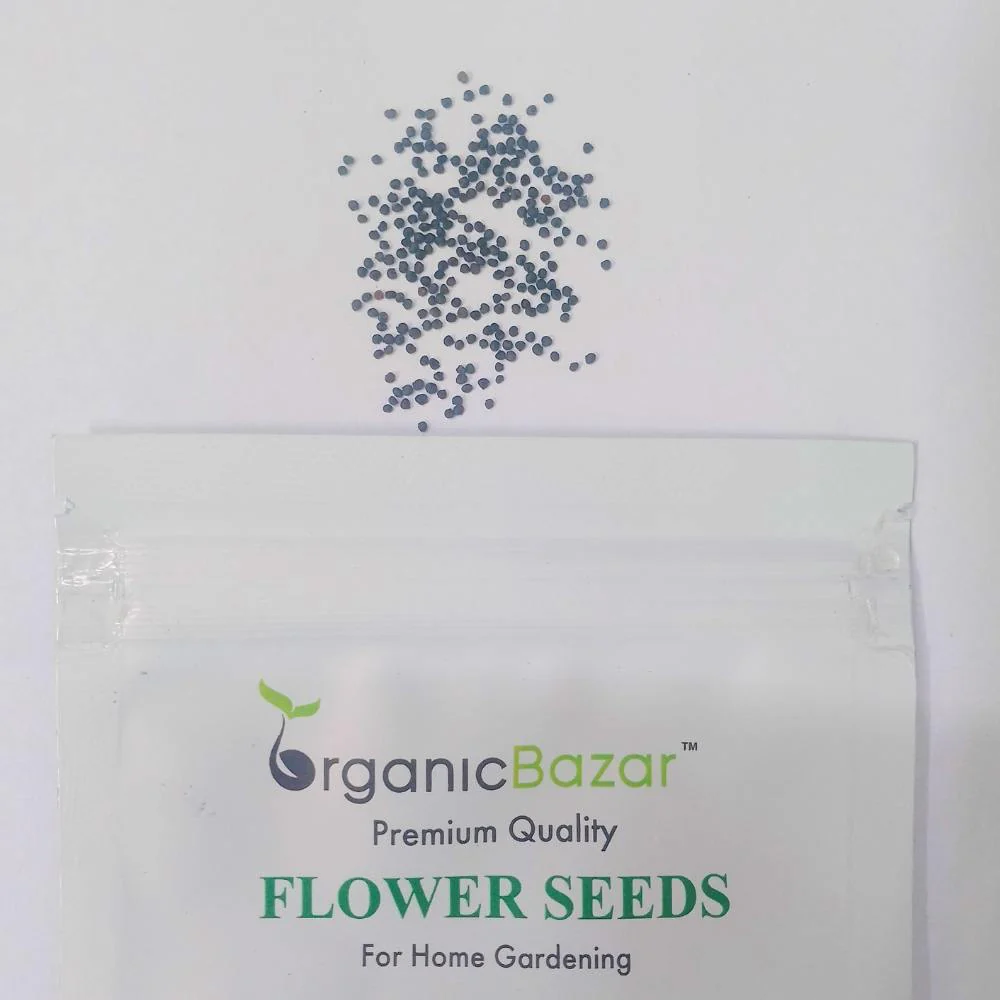 Gypsophila White Seeds - (200 Seeds) High Germination/ Easy To grow/ Perfect for pots, balconies, or Terrace gardens - Image 3