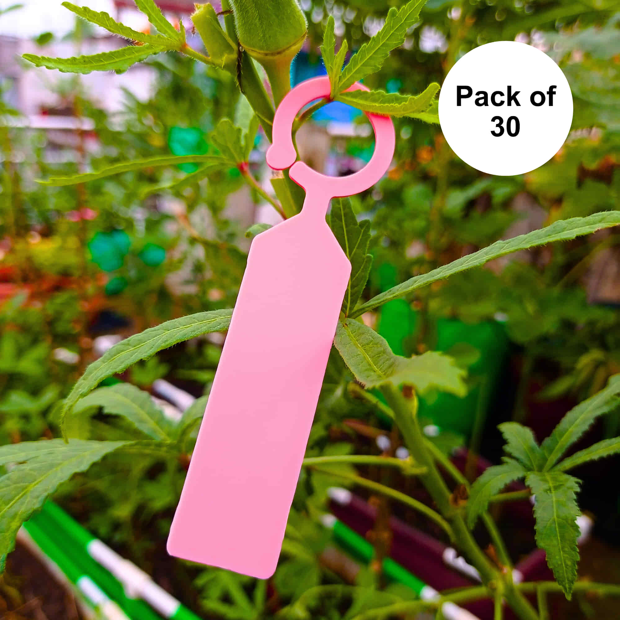 Hanging Plant Tag for Nursery & Home Garden | Plastic Plant Tree Tags | Ring Tag Garden Labels for Terrace Garden - Image 13