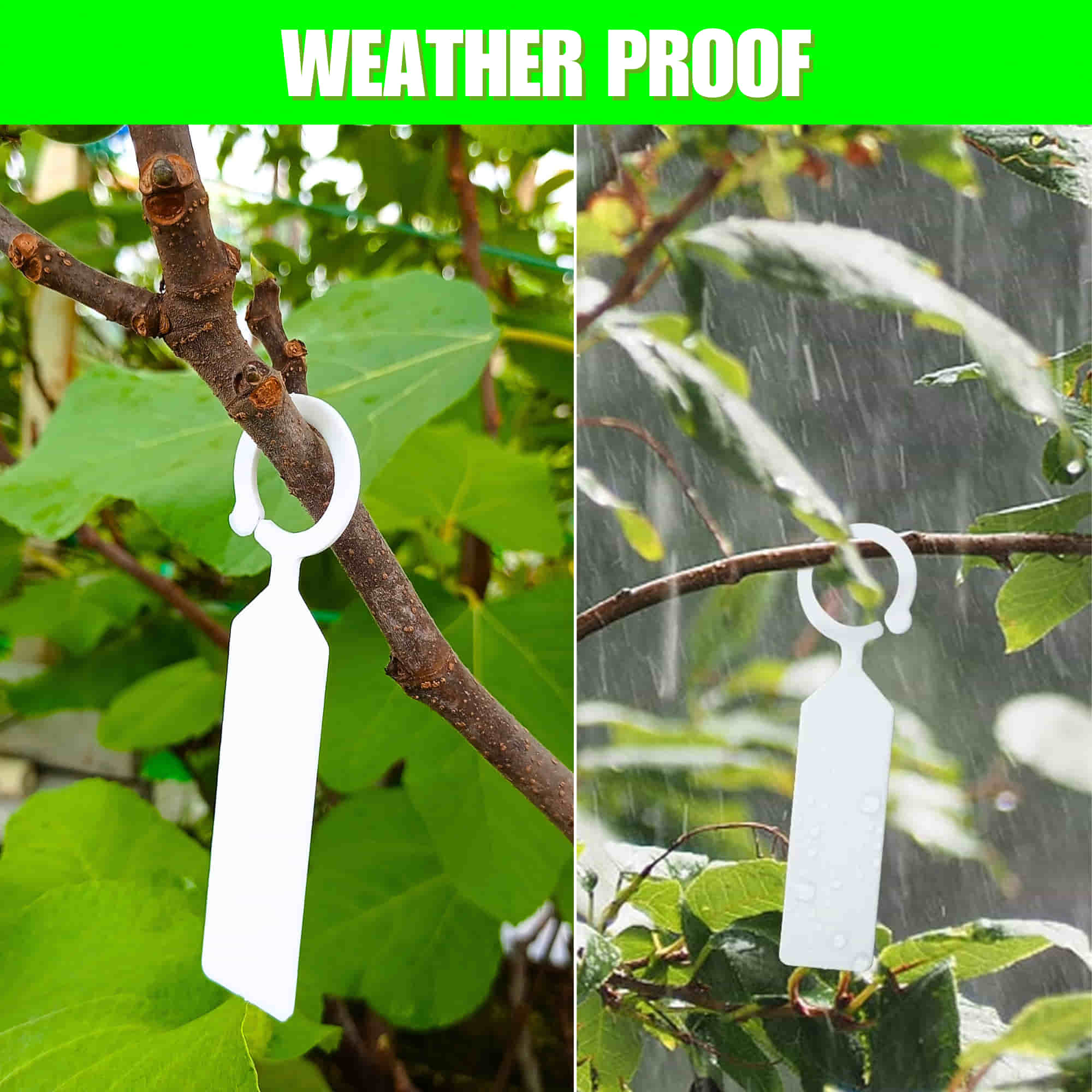 Hanging Plant Tag for Nursery & Home Garden | Plastic Plant Tree Tags | Ring Tag Garden Labels for Terrace Garden - Image 4