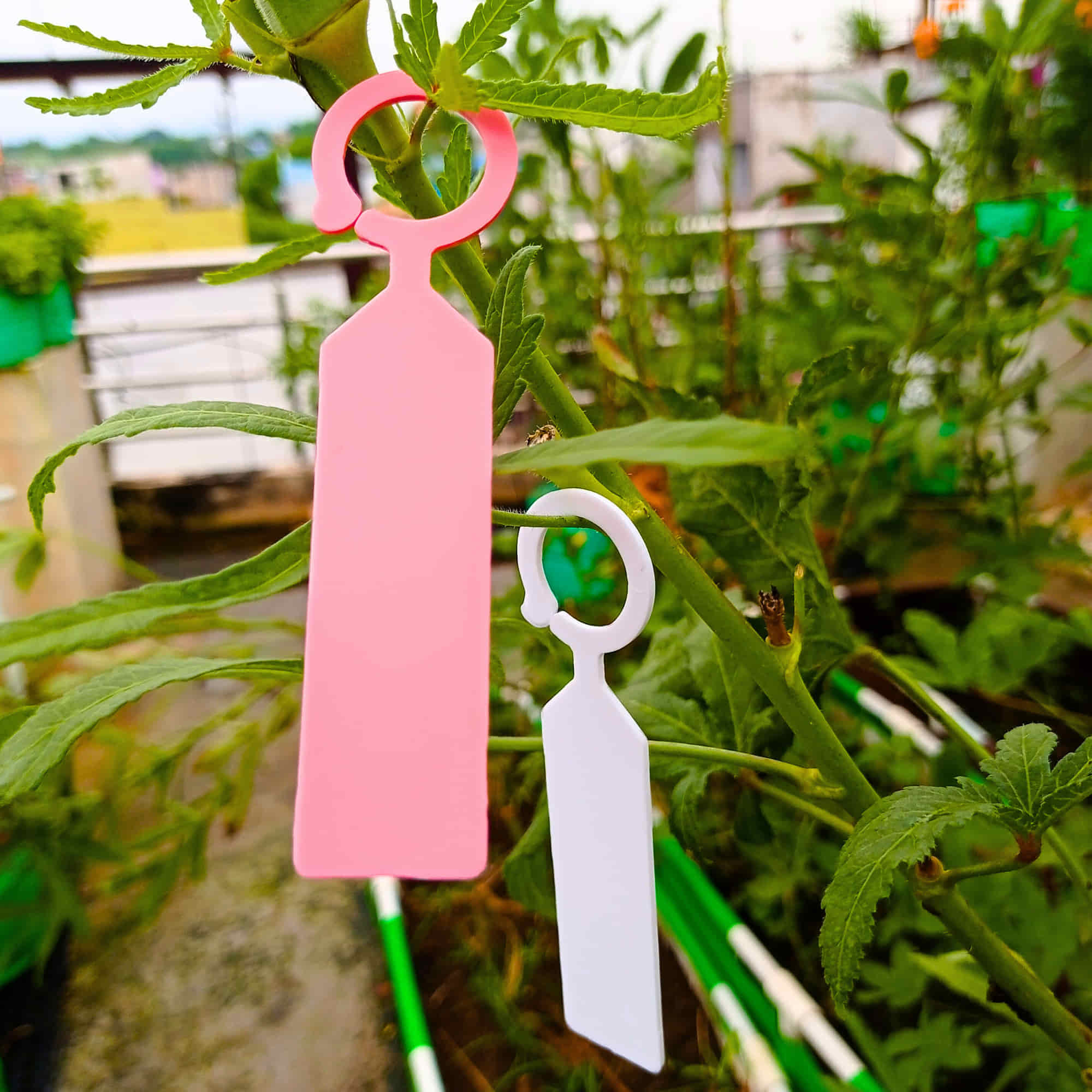 Hanging Plant Tag for Nursery & Home Garden | Plastic Plant Tree Tags | Ring Tag Garden Labels for Terrace Garden - Image 5