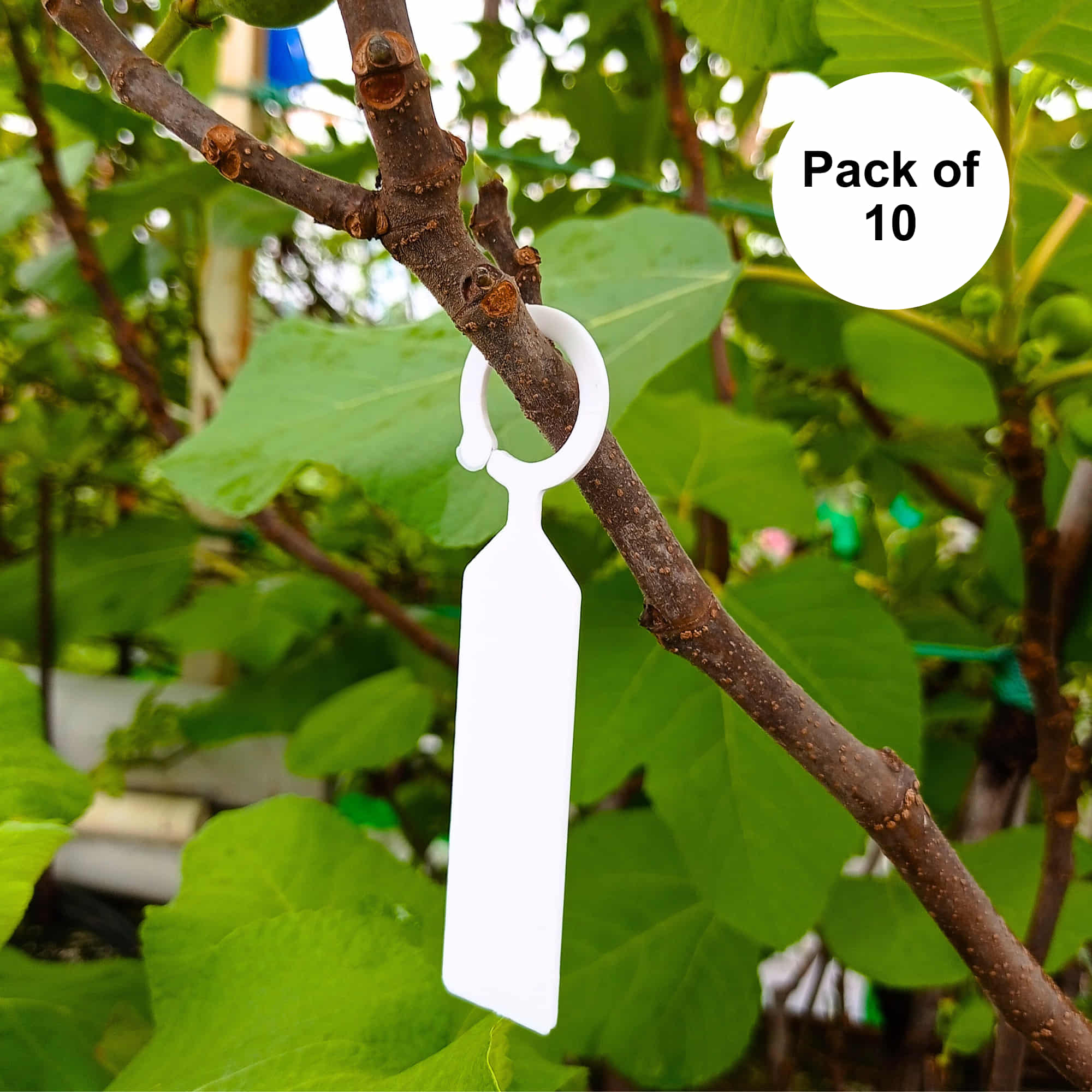 Hanging Plant Tag for Nursery & Home Garden | Plastic Plant Tree Tags | Ring Tag Garden Labels for Terrace Garden - Image 6