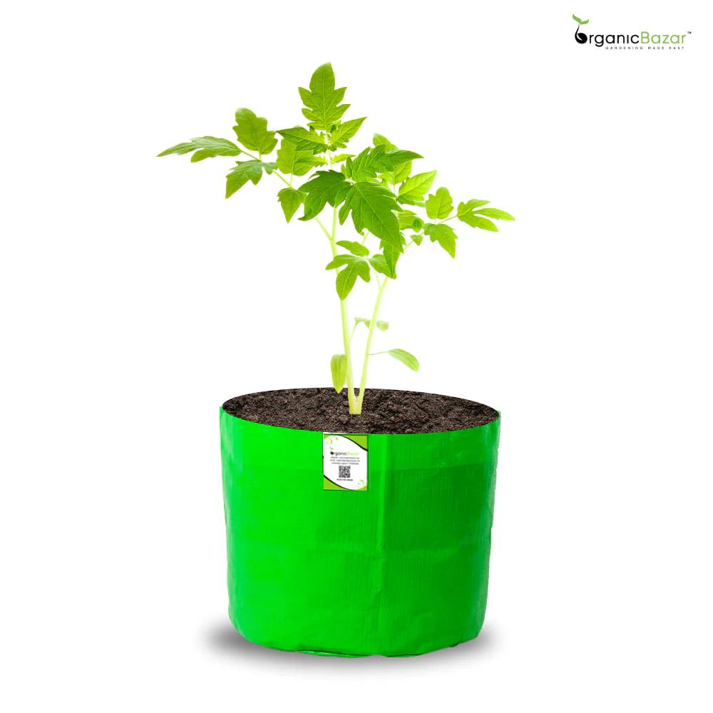 OrganicBazar 5x5 Small Size Grow Bag for Nursery Plants, Premium HDPE 260 GSM, Green Plant Bags - Image 5