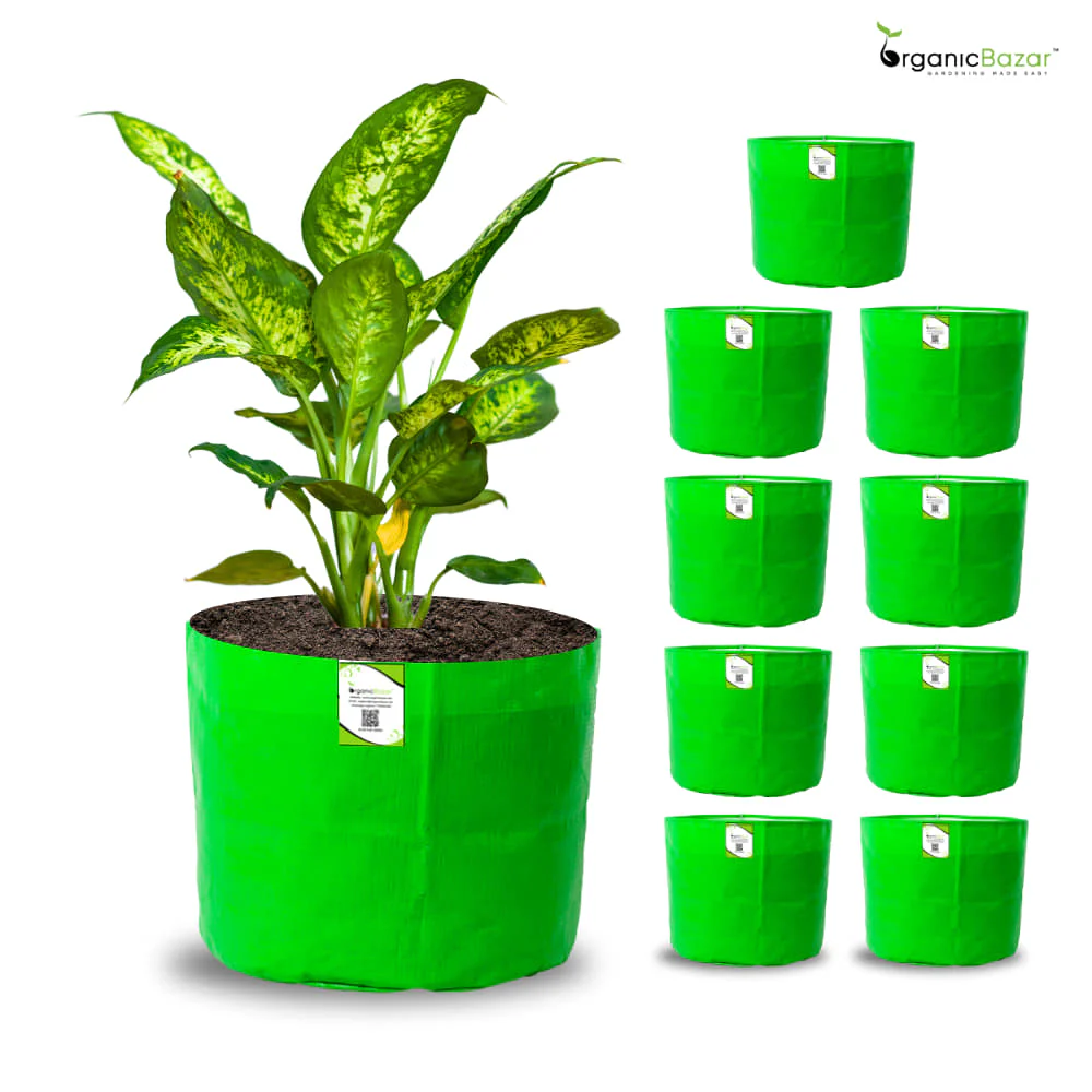OrganicBazar 5x5 Small Size Grow Bag for Nursery Plants, Premium HDPE 260 GSM, Green Plant Bags - Image 7