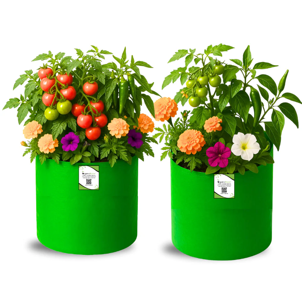 OrganicBazar 12×12 HDPE Round Grow Bag – Premium Quality, Heavy-Duty, UV-Stabilized (260 GSM) Green Plant Bags - Image 8