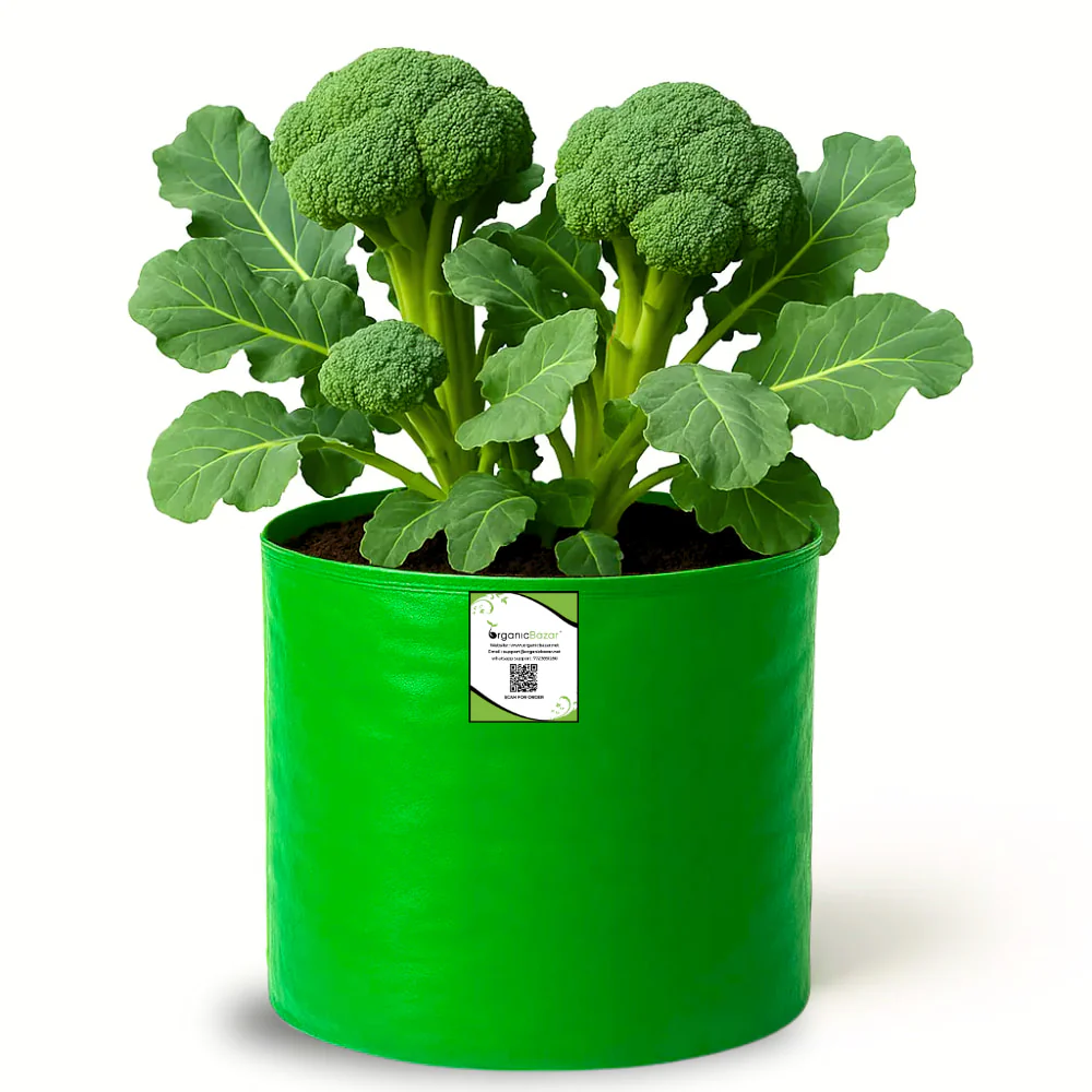 OrganicBazar 12x15 Grow Bag for Vegetable Garden, Premium HDPE 260 GSM, Green Plant Bags - Image 3