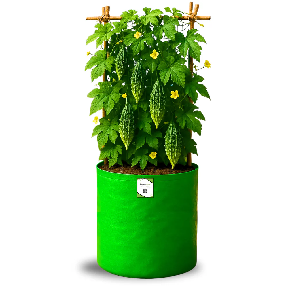 OrganicBazar 12x18 Grow Bag for Vegetables Garden, Premium HDPE 260 GSM, Green Plant Bags for Terrace Garden - Image 3