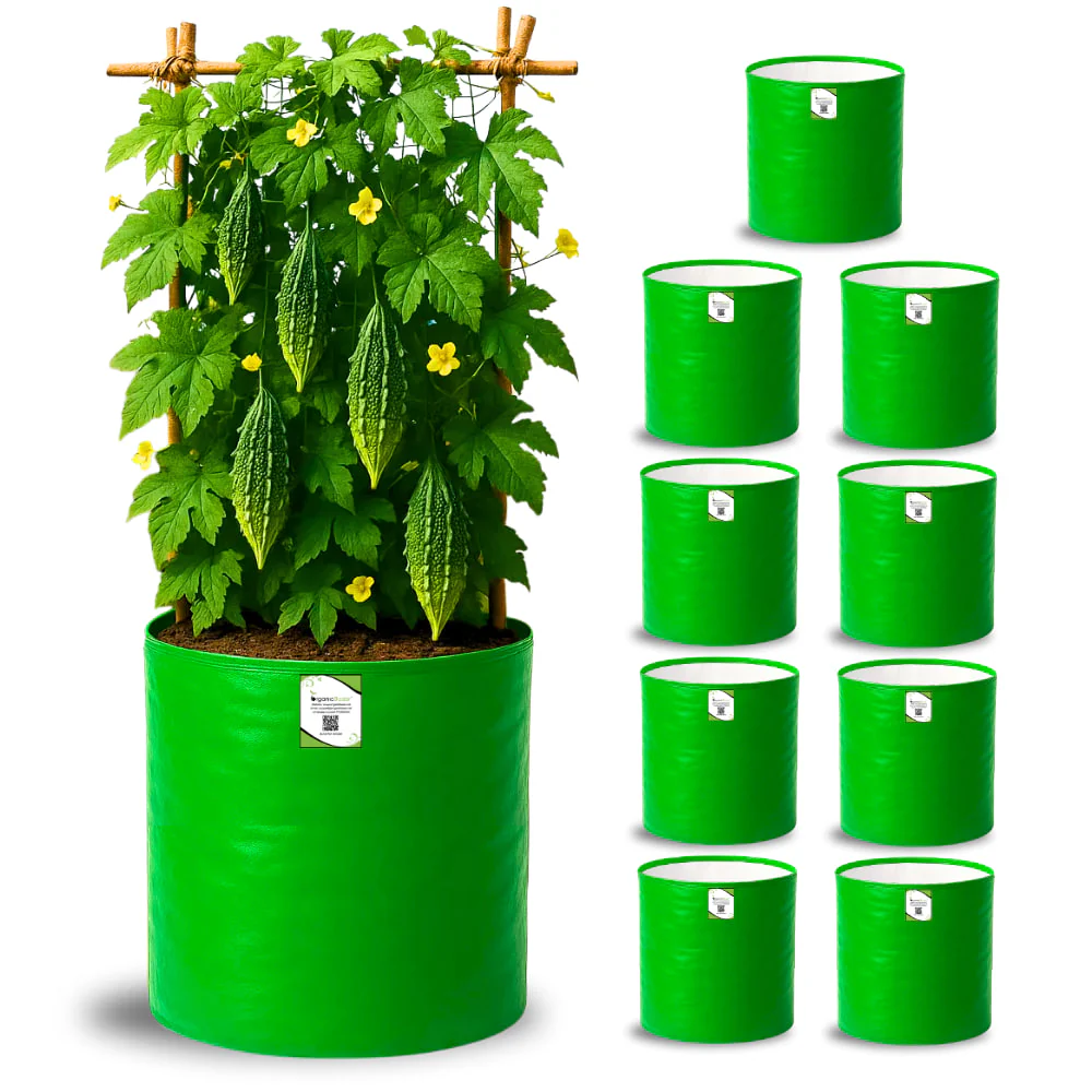 OrganicBazar 12x18 Grow Bag for Vegetables Garden, Premium HDPE 260 GSM, Green Plant Bags for Terrace Garden - Image 4