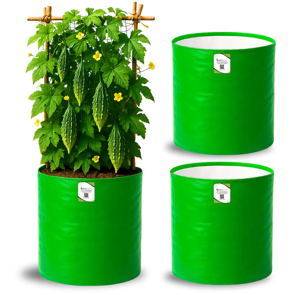 OrganicBazar 12x18 Grow Bag for Vegetables Garden, Premium HDPE 260 GSM, Green Plant Bags for Terrace Garden - Image 5