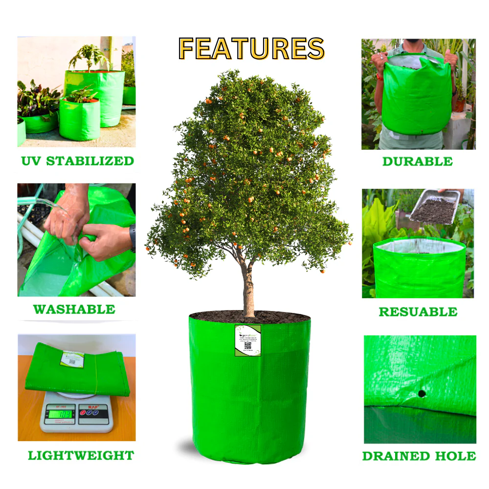 OrganicBazar 12x18 Grow Bag for Vegetables Garden, Premium HDPE 260 GSM, Green Plant Bags for Terrace Garden - Image 6