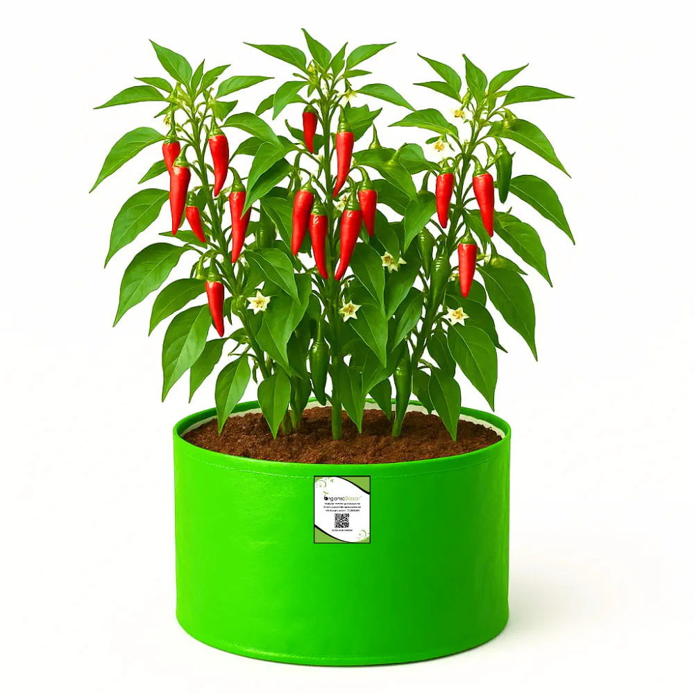 OrganicBazar 12x9 Grow Bag for Vegetable Garden, Premium HDPE 260 GSM Green Plant Bags for Terrace Garden - Image 3