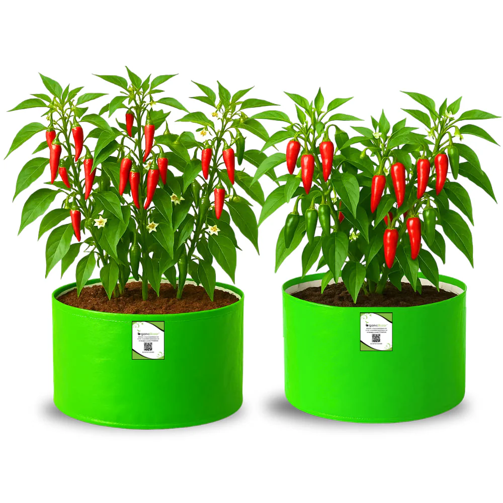 OrganicBazar 12x9 Grow Bag for Vegetable Garden, Premium HDPE 260 GSM Green Plant Bags for Terrace Garden - Image 4