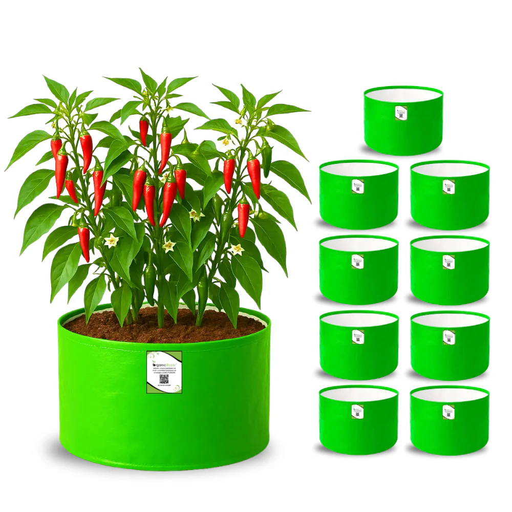 OrganicBazar 12x9 Grow Bag for Vegetable Garden, Premium HDPE 260 GSM Green Plant Bags for Terrace Garden - Image 5
