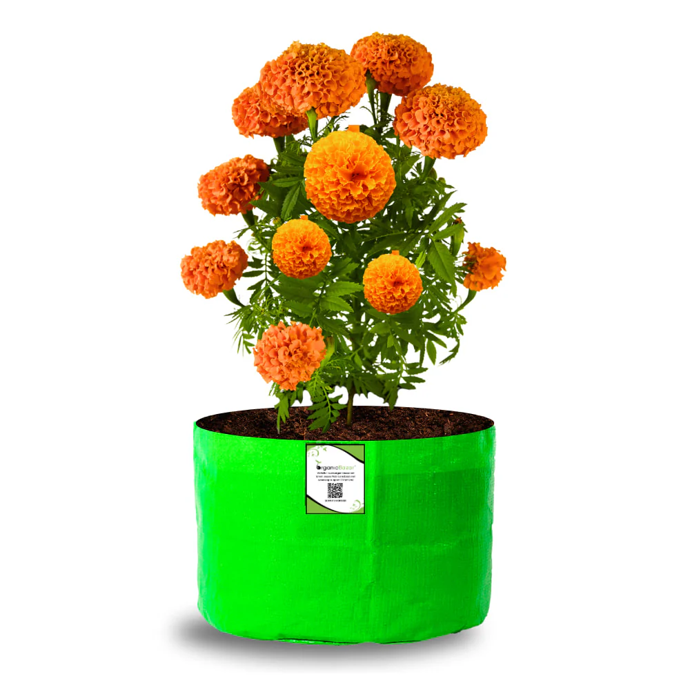 OrganicBazar 12x9 Grow Bag for Vegetable Garden, Premium HDPE 260 GSM Green Plant Bags for Terrace Garden - Image 6