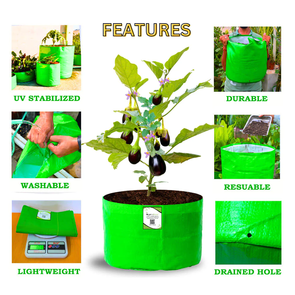 OrganicBazar 12x9 Grow Bag for Vegetable Garden, Premium HDPE 260 GSM Green Plant Bags for Terrace Garden - Image 7