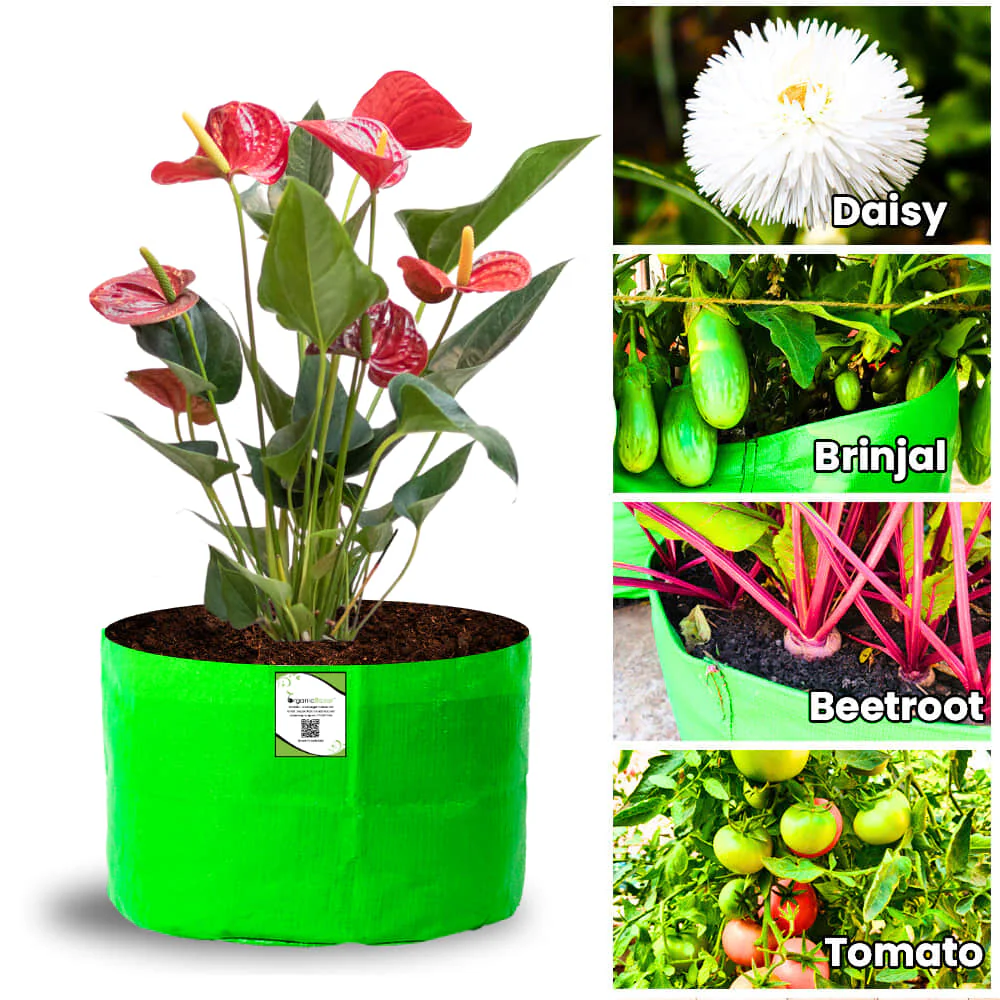 OrganicBazar 12x9 Grow Bag for Vegetable Garden, Premium HDPE 260 GSM Green Plant Bags for Terrace Garden - Image 8
