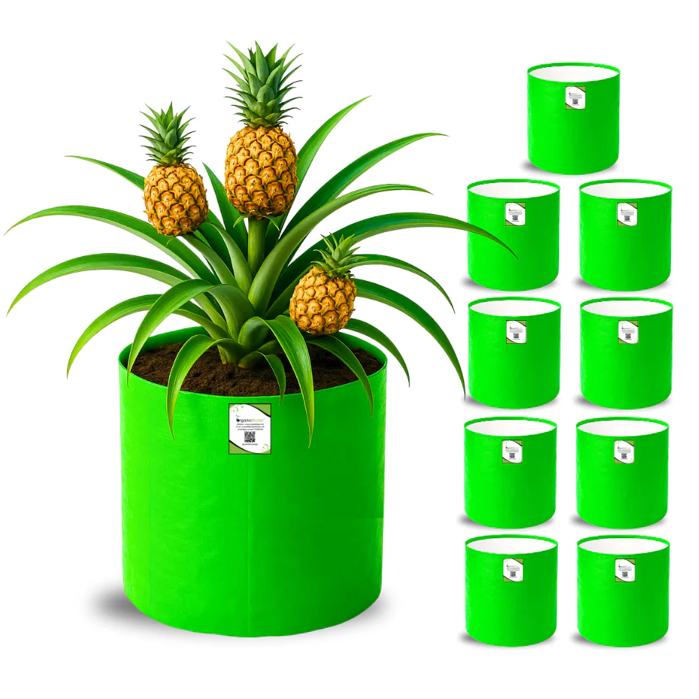 OrganicBazar 15x18 Big Grow Bag for Terrace Garden, Premium HDPE 260 GSM Green Plant Bags - Image 4