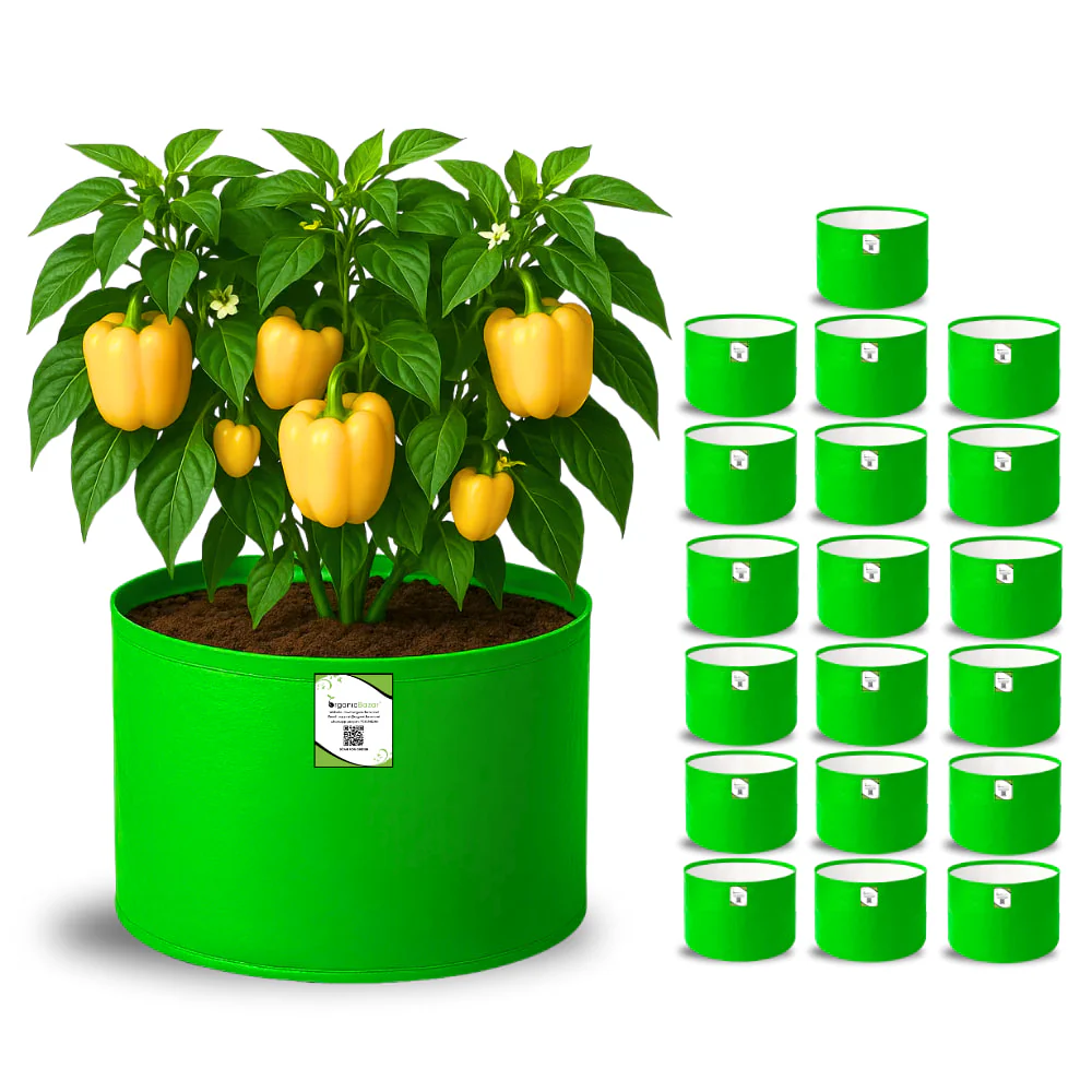 OrganicBazar 15x12 Grow Bag for Vegetable Garden, Premium HDPE 260 GSM Green Plant Bags for Terrace Gardening - Image 8