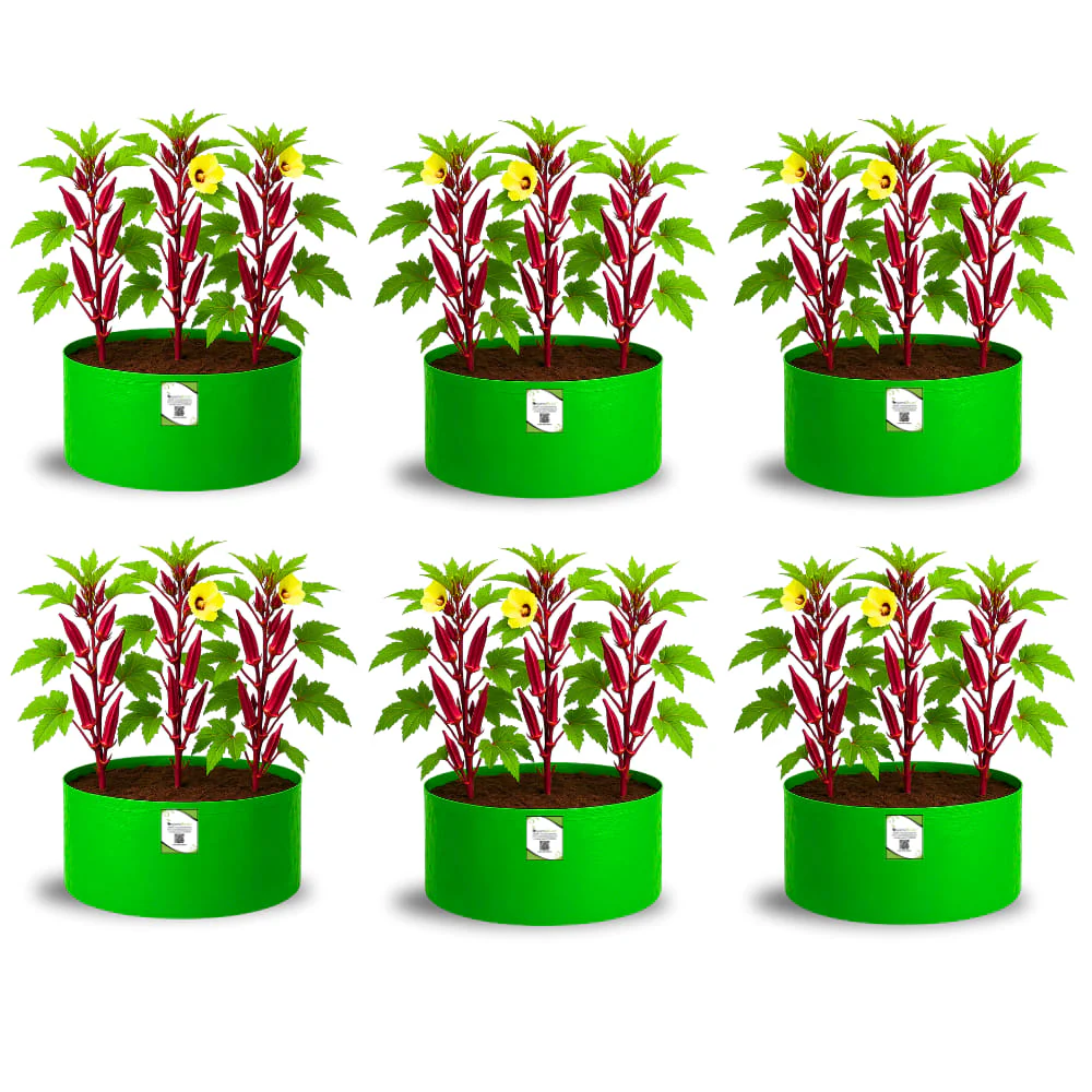OrganicBazar 18x12 Grow Bag for Vegetable Gardening, Premium HDPE 260 GSM, Green Plant Bags for Home Garden - Image 6