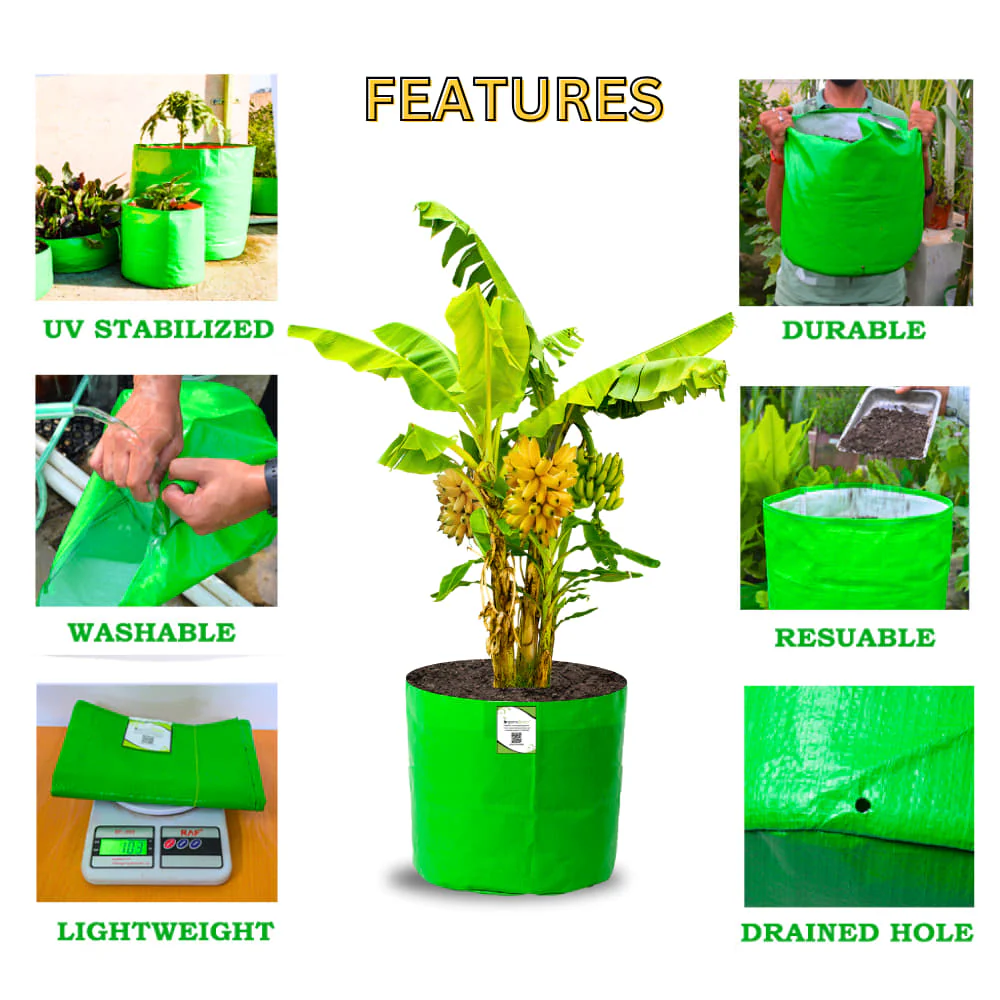 OrganicBazar 21x21 Big Size Grow Bags for Terrace Gardening, Premium HDPE 260 GSM Green Plant Bag for Fruit Tree - Image 4