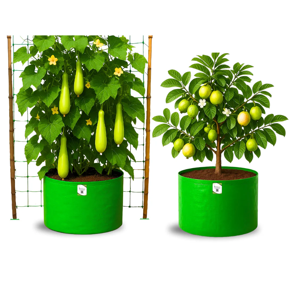 HDPE 24x18 Grow Bags for Terrace Gardening Extra Thick Premium Quality Grow Bags - Image 3