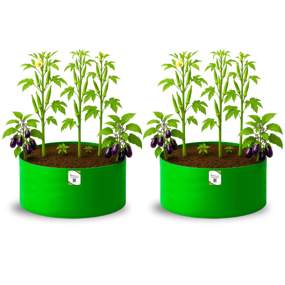 OrganicBazar 24x12 Big Size Grow Bags for Home and Terrace Garden, Premium HDPE 260 GSM Green Plant Bag - Image 5