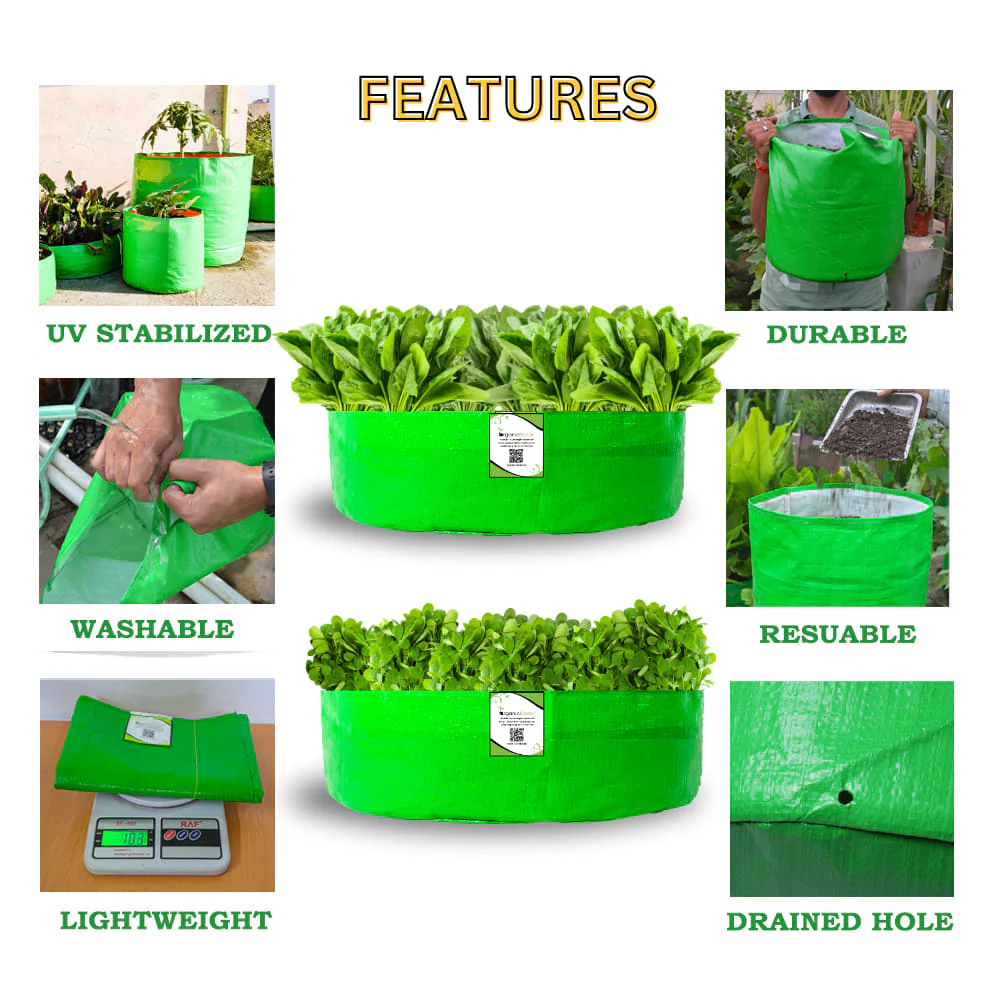 OrganicBazar 24x6 Grow Bag for Leafy Vegetables, Premium HDPE 260 GSM, Green Plant Bags for Terrace Garden - Image 3