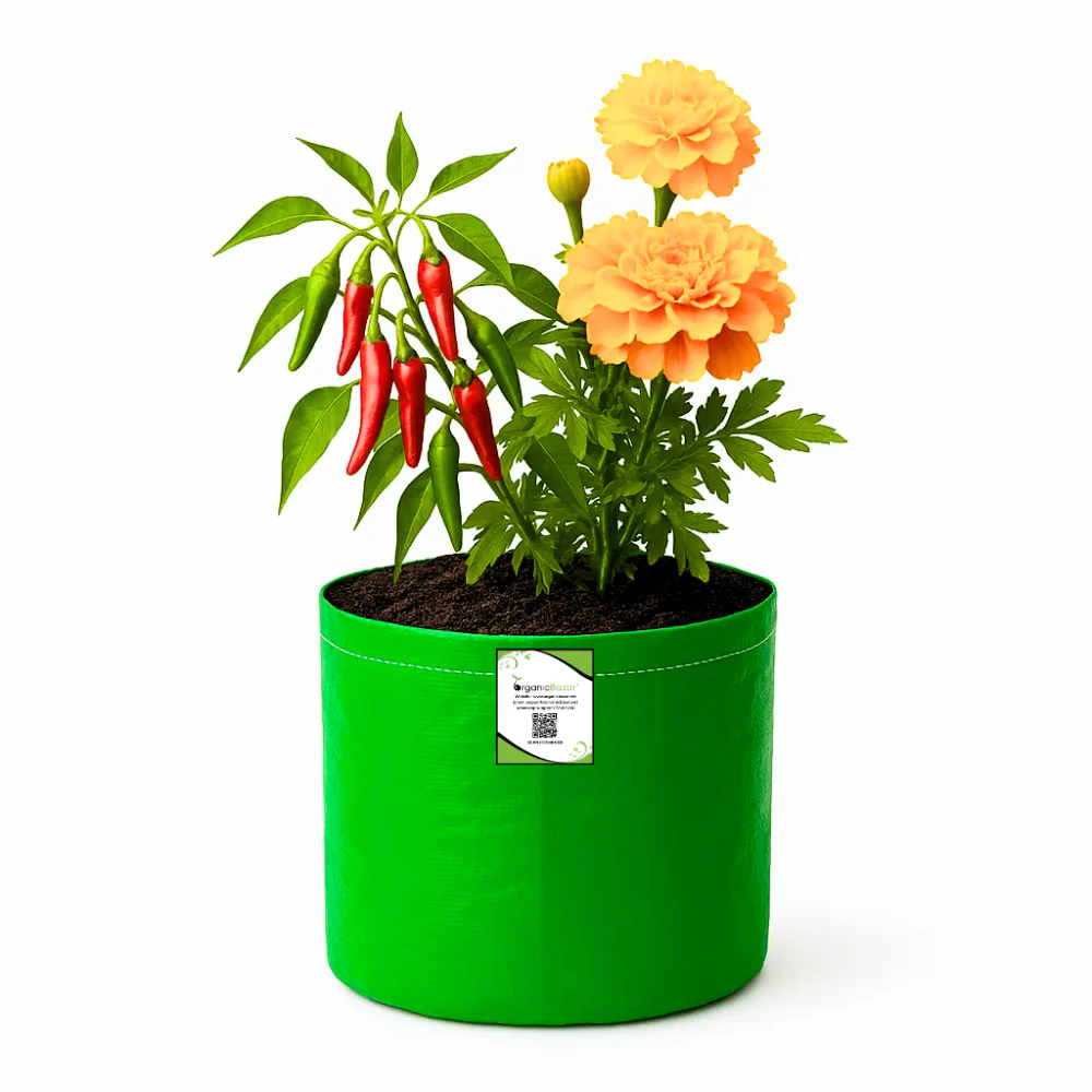 OrganicBazar 9x9 Small Grow Bag for Terrace Garden, Premium HDPE 260 GSM, Green Plant Bags - Image 3