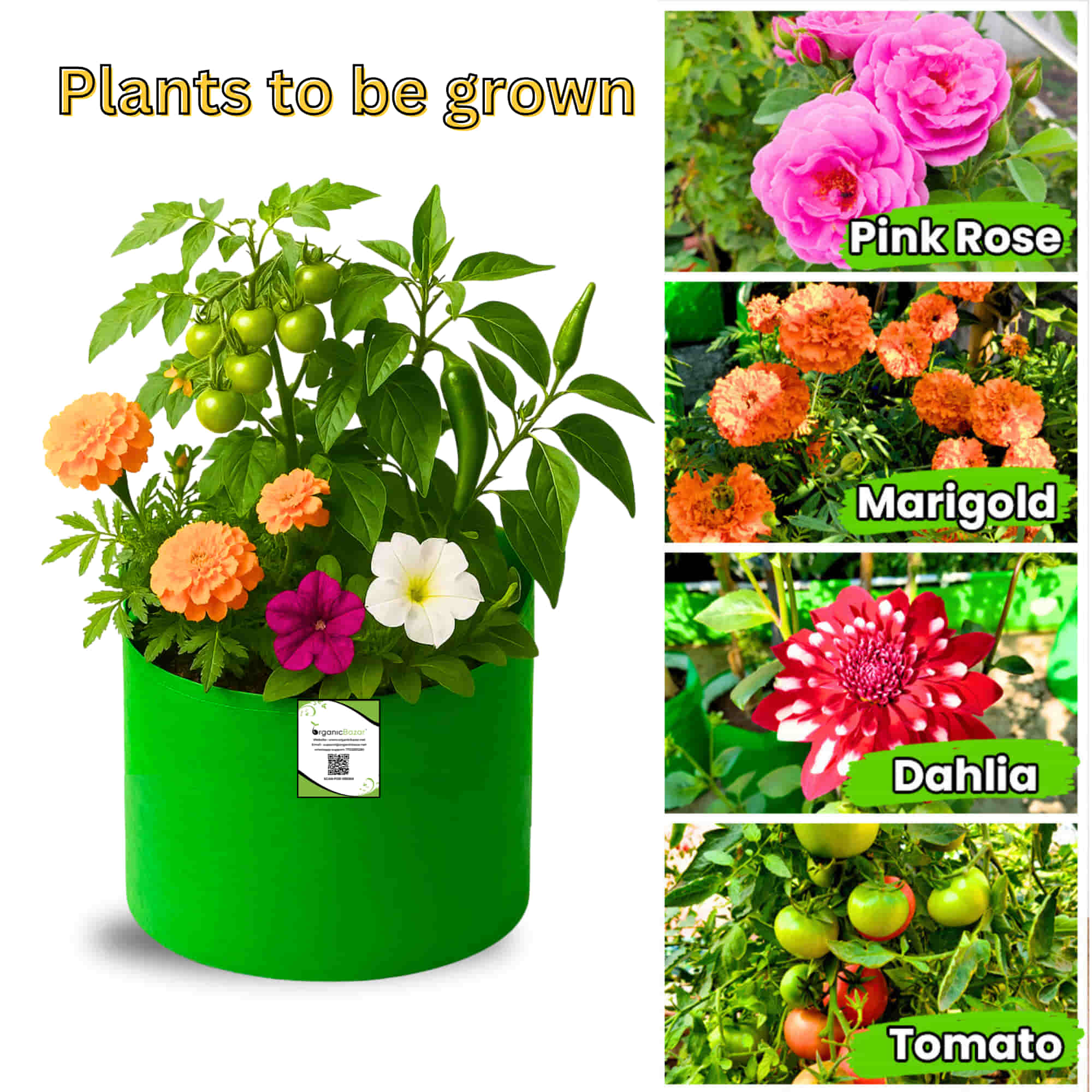 OrganicBazar 9x9 Small Grow Bag for Terrace Garden, Premium HDPE 260 GSM, Green Plant Bags - Image 6