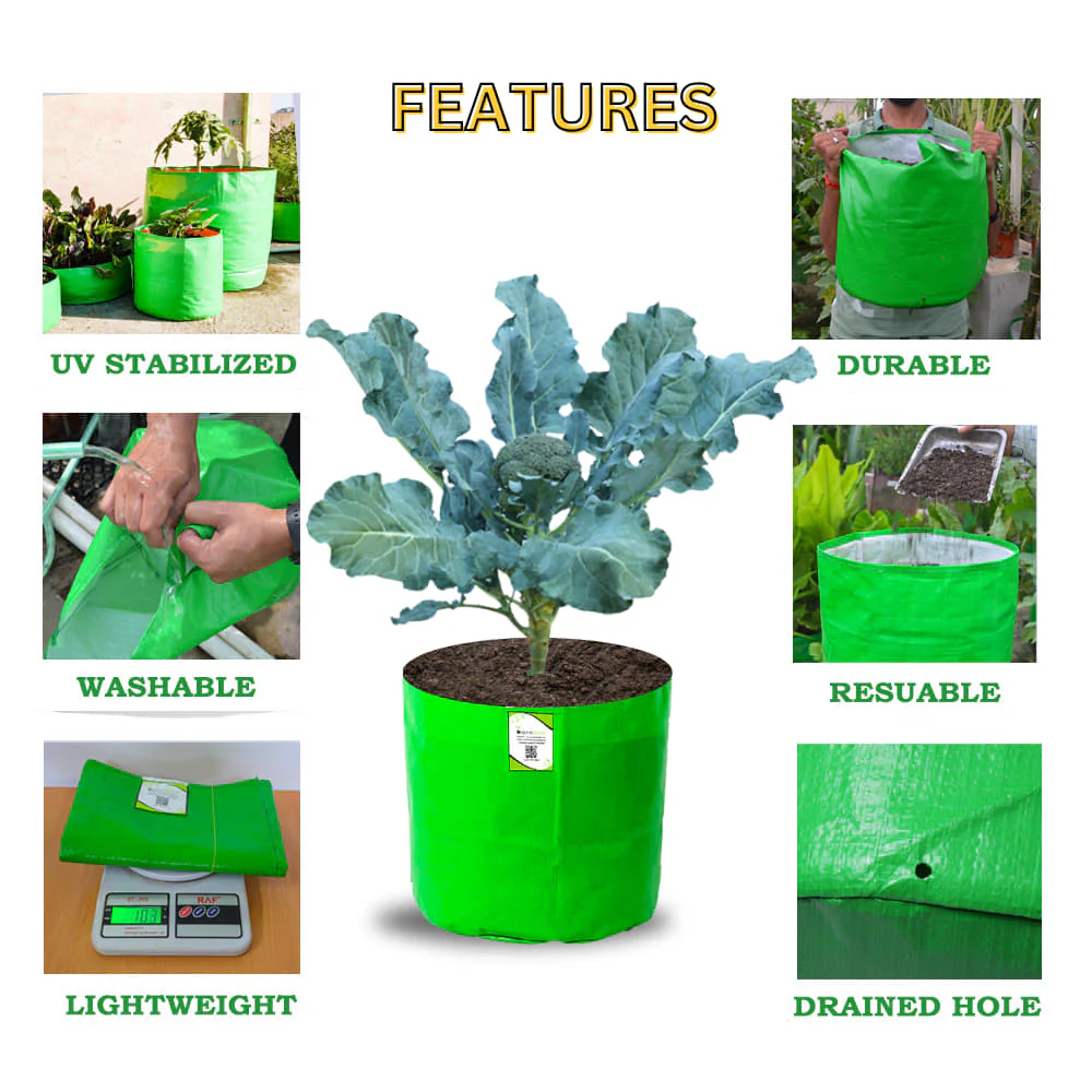 OrganicBazar 15x15 Grow Bag for Vegetable Gardening, Premium HDPE 260 GSM, Green Plant Bags for Terrace Garden - Image 12